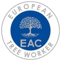 European tree worker in Potsdam
